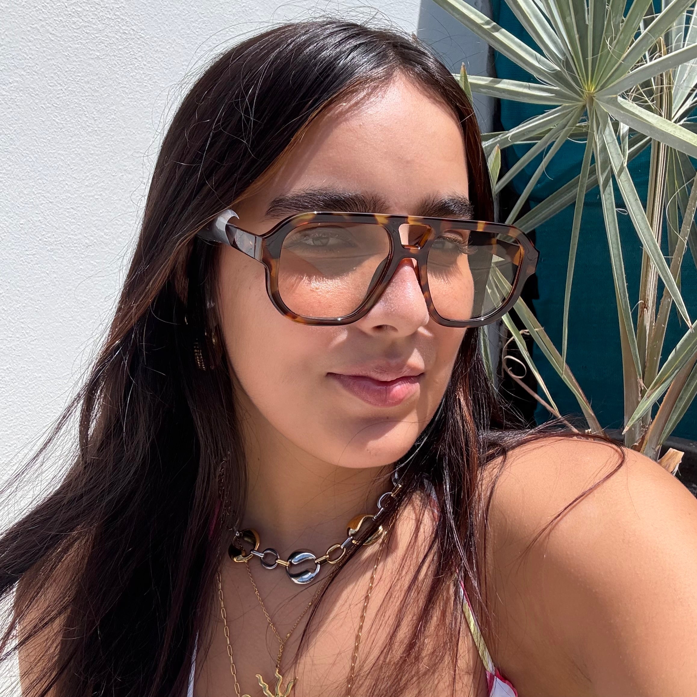 Brown Glasses