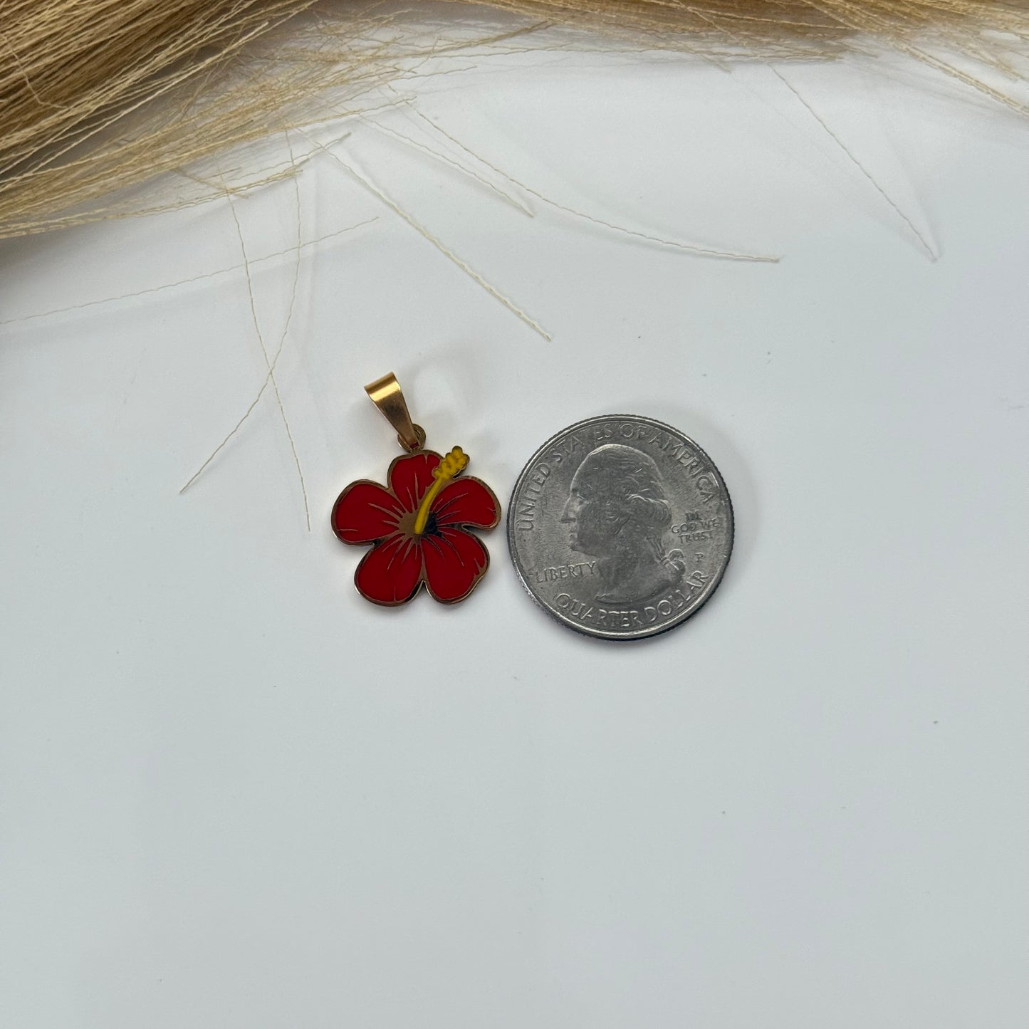 Amapola